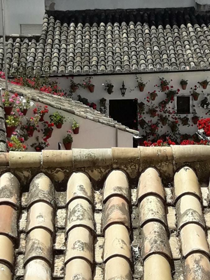 Los Tejares Del Alcazar Córdoba Eksteriør billede