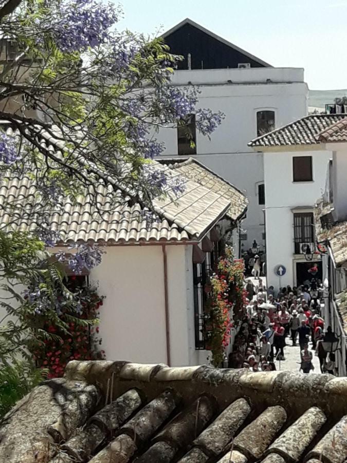 Los Tejares Del Alcazar Córdoba Eksteriør billede